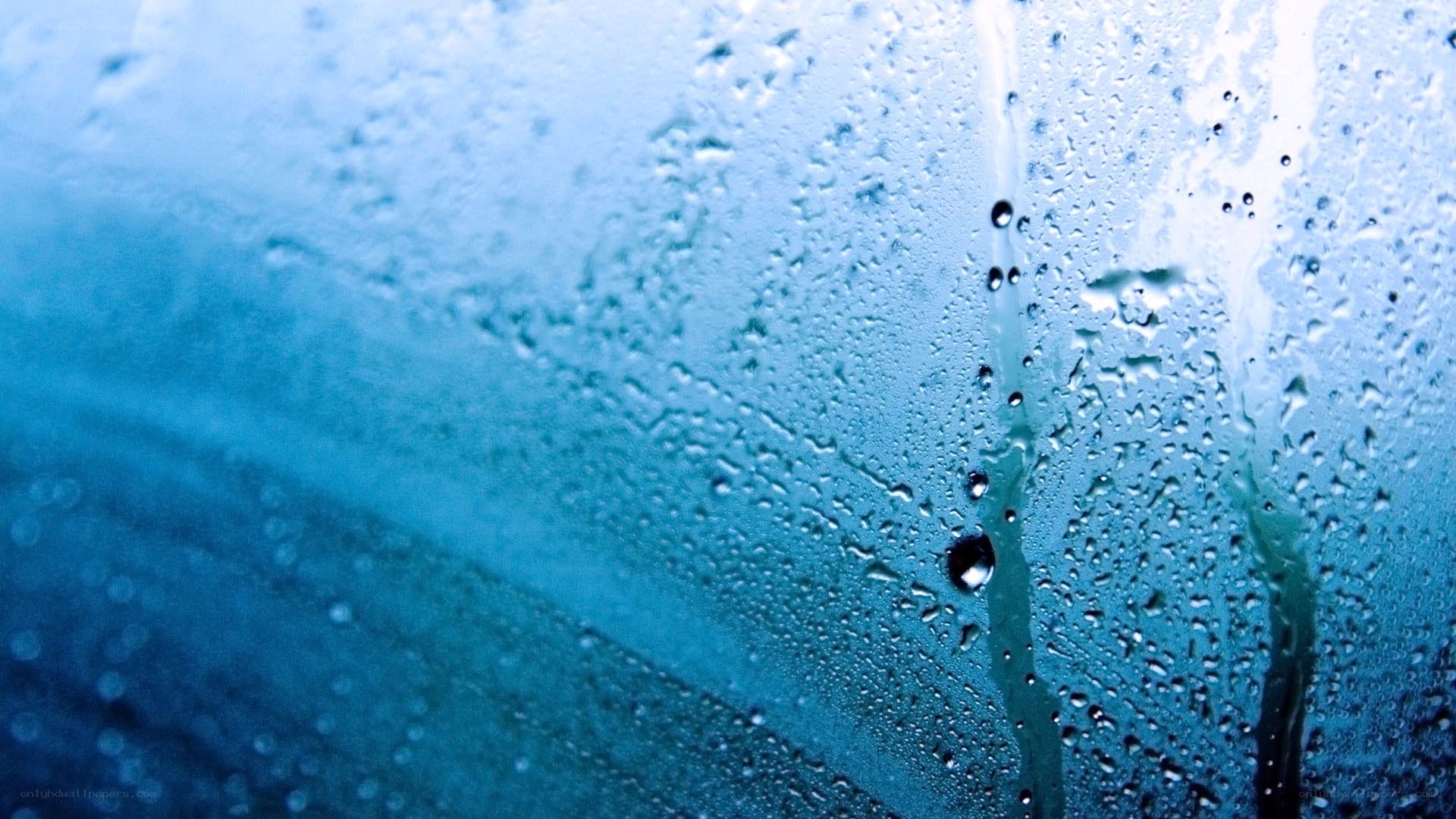 Raindrops on a glass surface