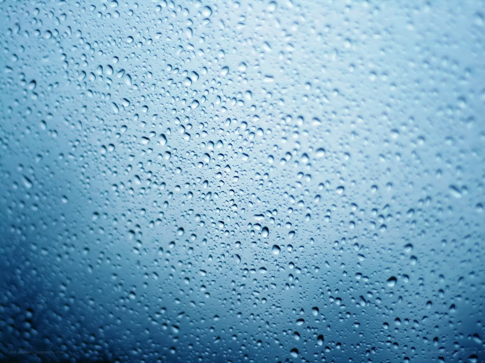 Raindrops on a glass surface
