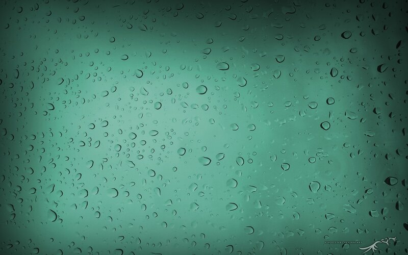 raindrops on a green surface