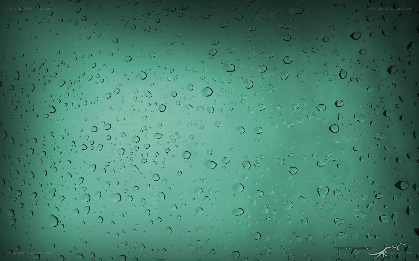 raindrops on a green surface
