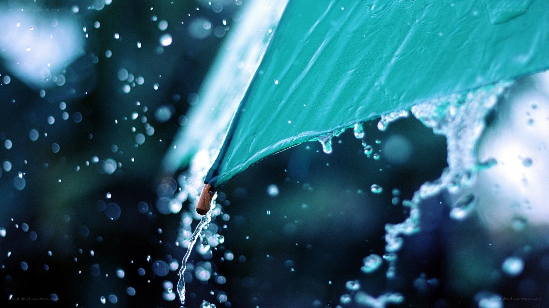 raindrops on a green umbrella