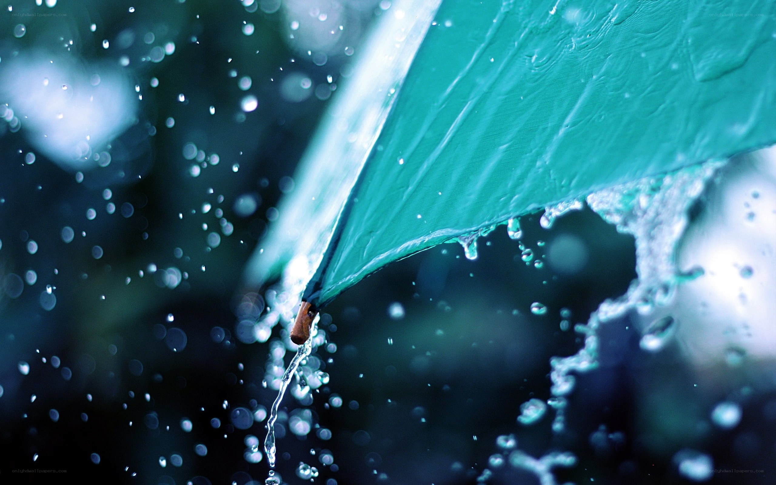raindrops on a green umbrella