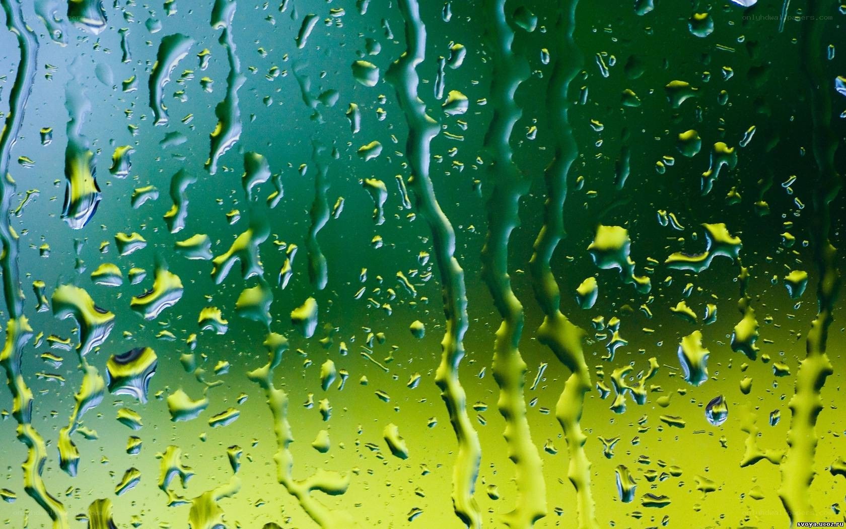 raindrops on a green window