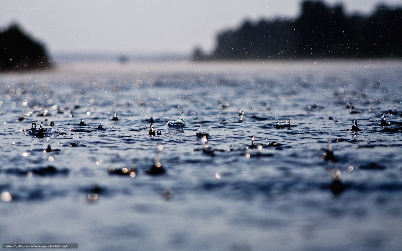raindrops on a lake surface