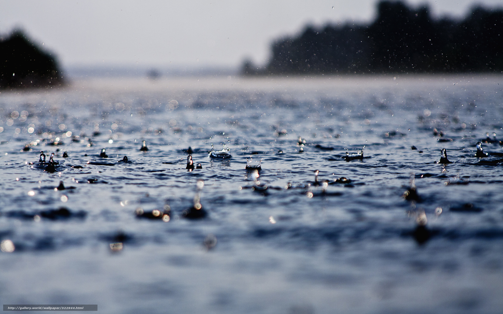 raindrops on a lake surface