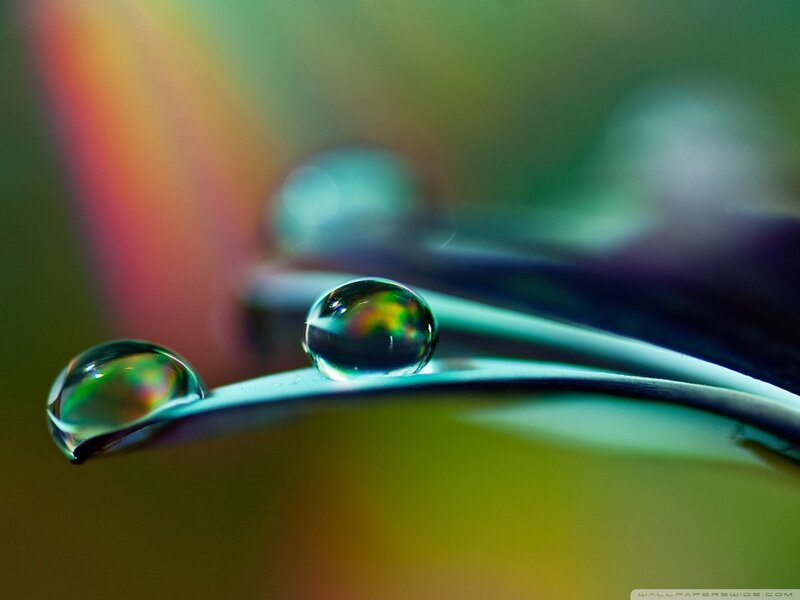 Raindrops on a Leaf — Green