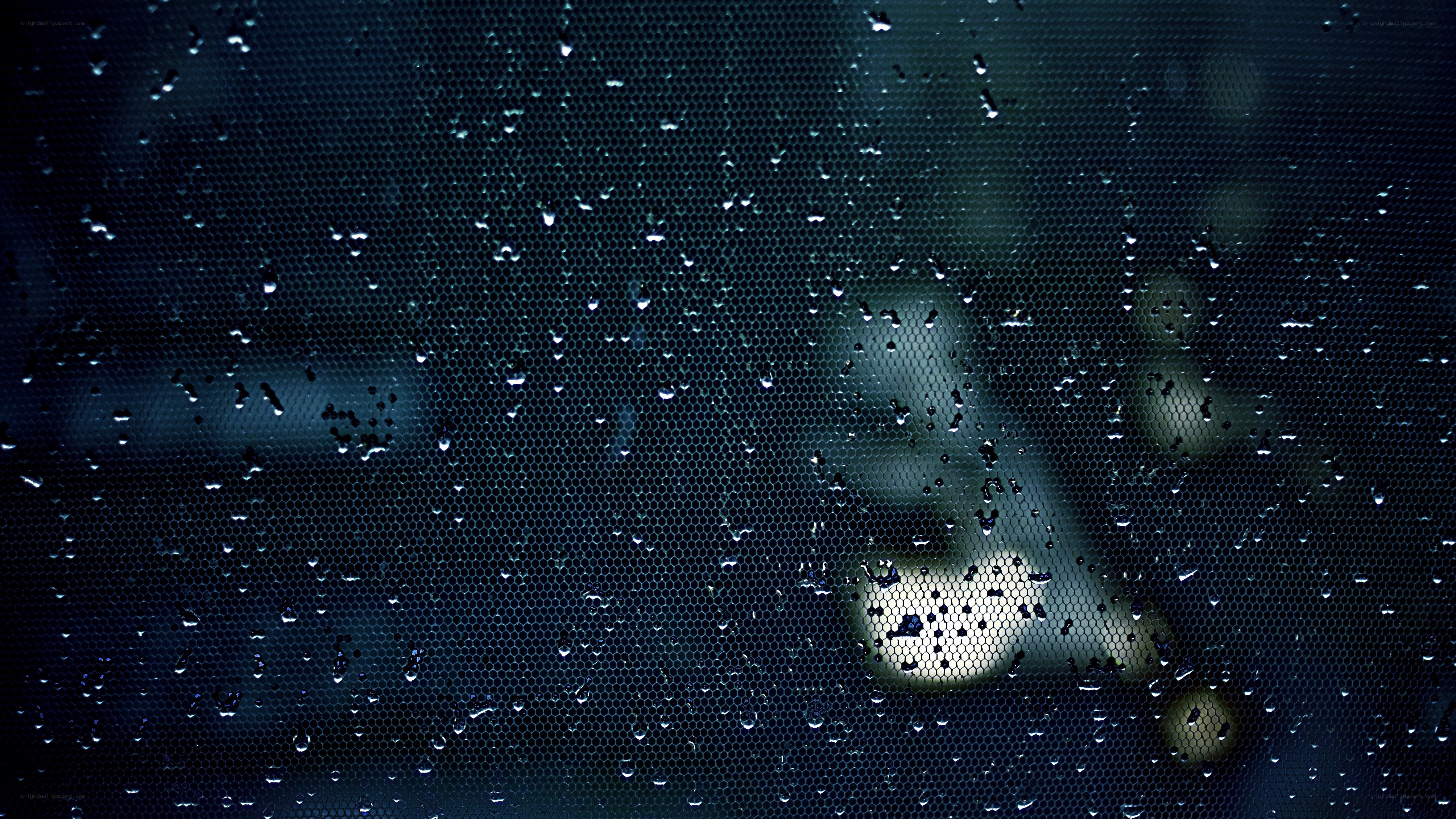 raindrops on a mesh screen