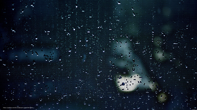 Raindrops on a mesh screen