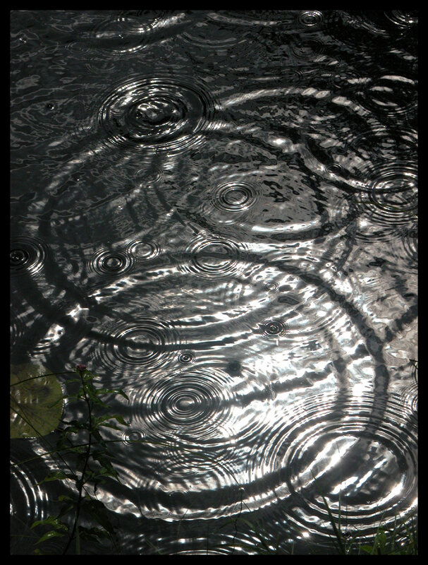 Raindrops on a pond surface