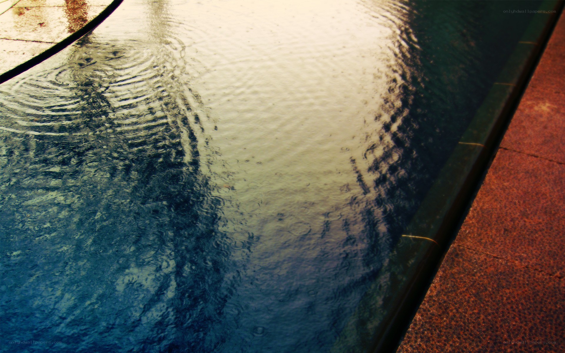 raindrops on a pool surface