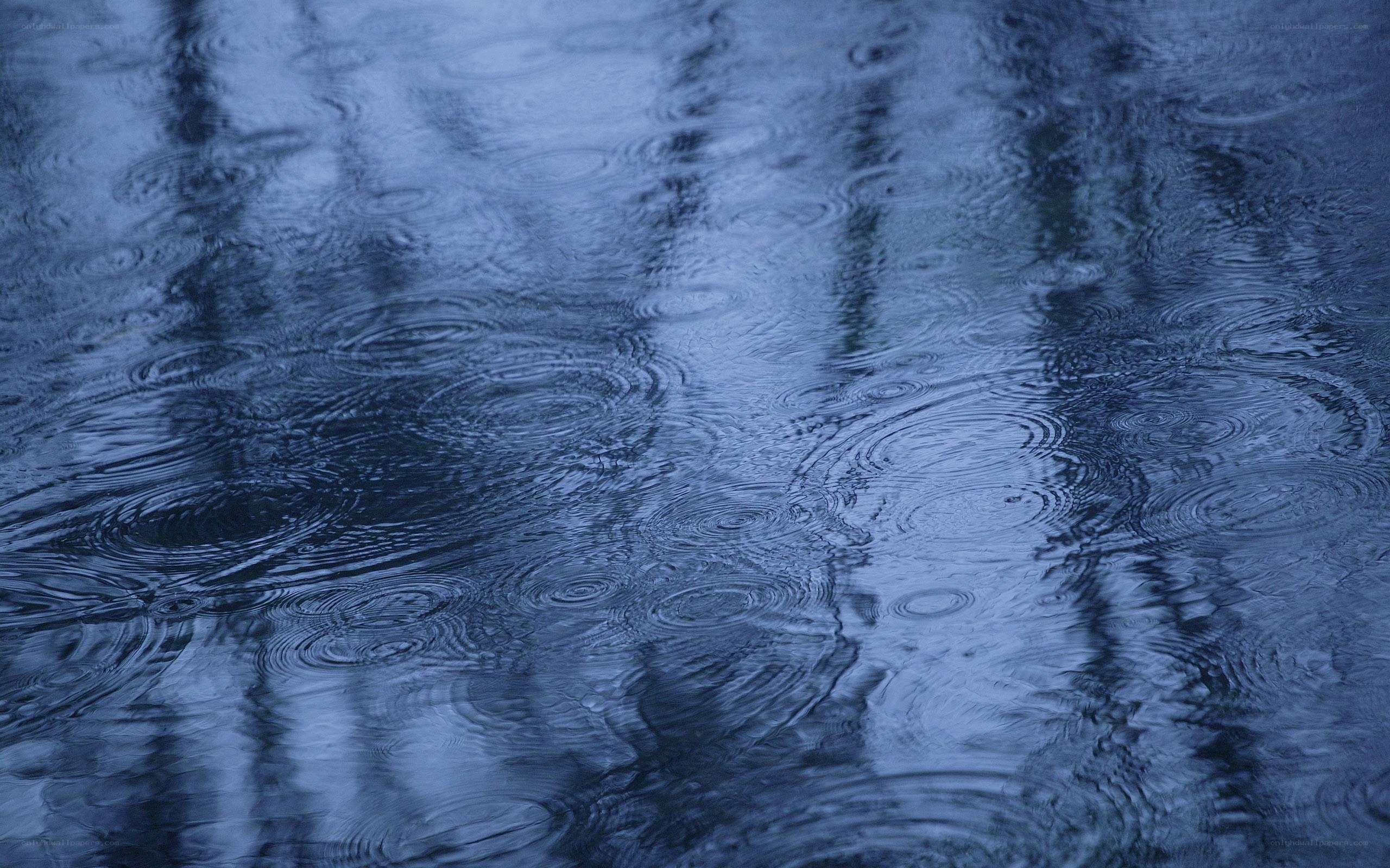 raindrops on a puddle
