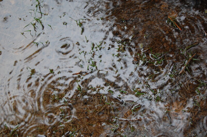 raindrops on a puddle