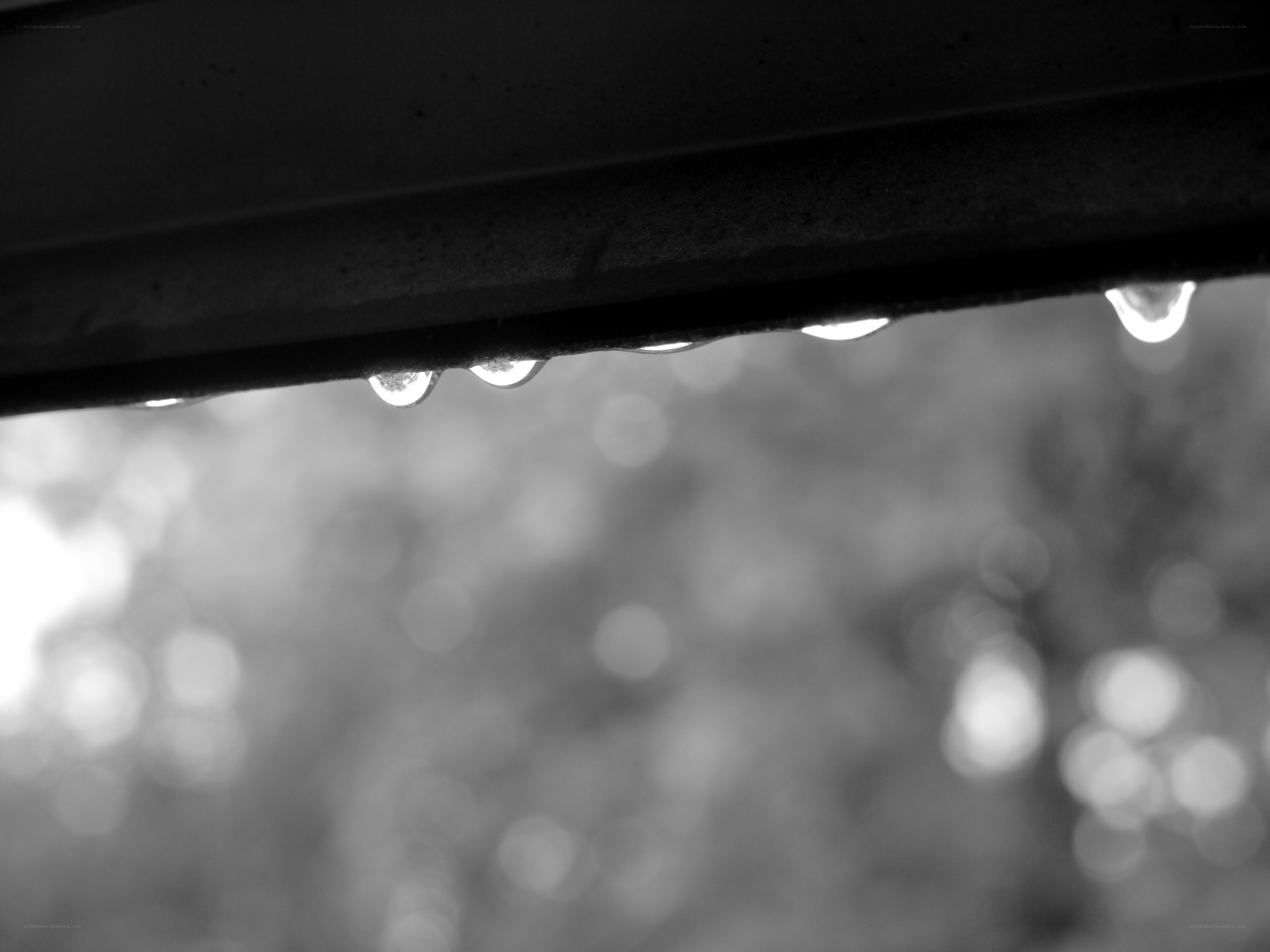 Raindrops on a roof edge
