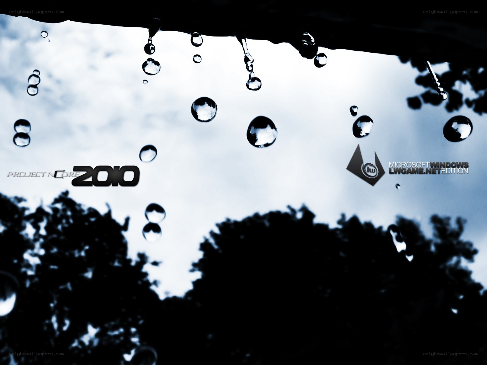 raindrops on a surface