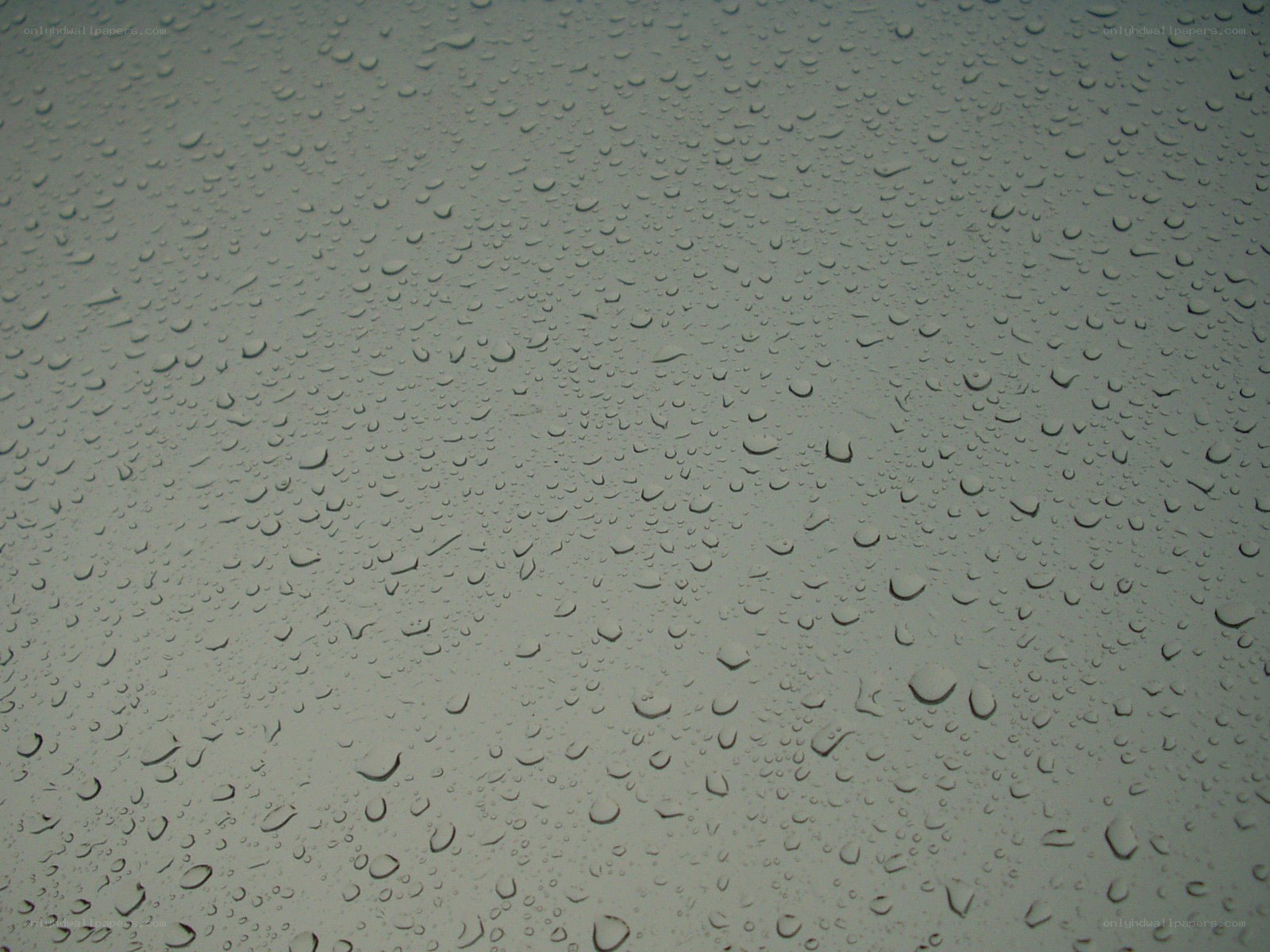 raindrops on a surface