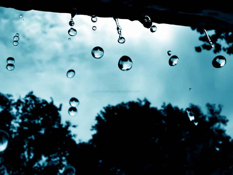 raindrops on a surface