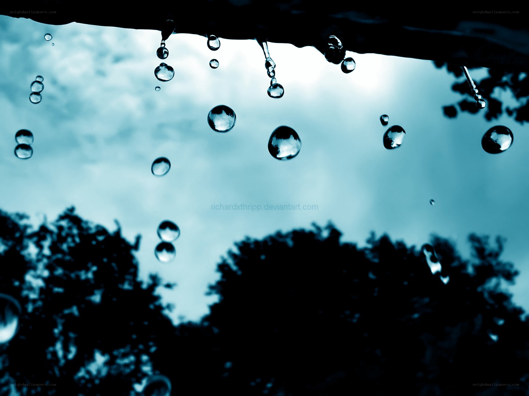 raindrops on a surface