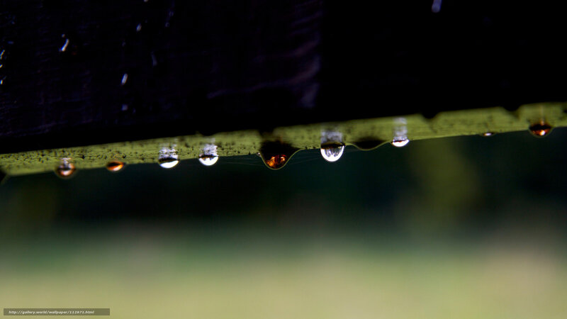 Raindrops on a Surface — Black
