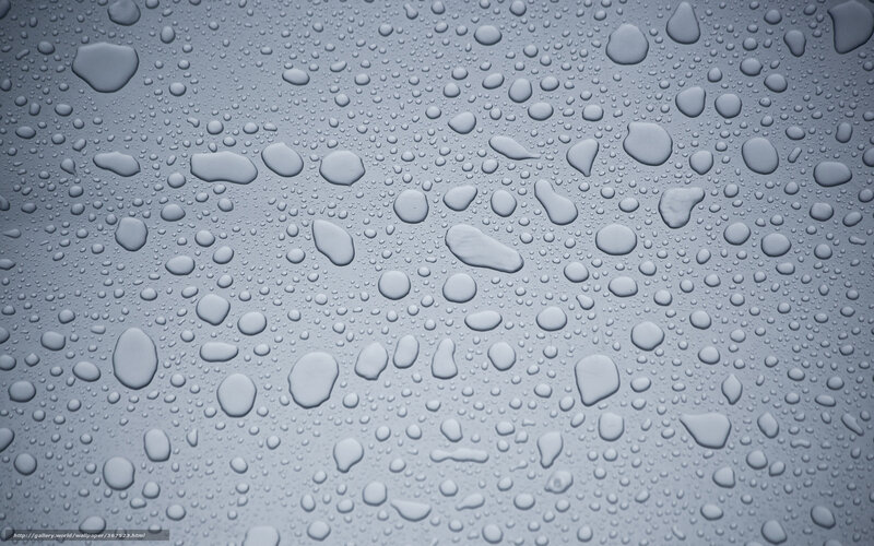 Raindrops on a Surface — Gray, Calm