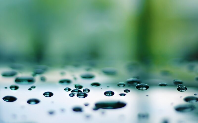 Raindrops on a Surface — Green, Calm, Photograph, Droplets