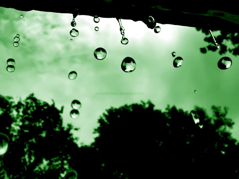 Raindrops on a Surface — Green, Calm, Photograph, Sky