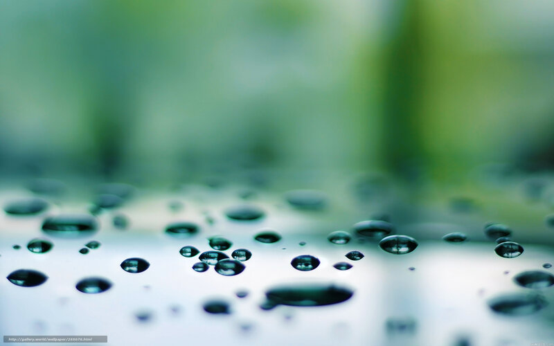 Raindrops on a Surface — Green, Calm, Photograph