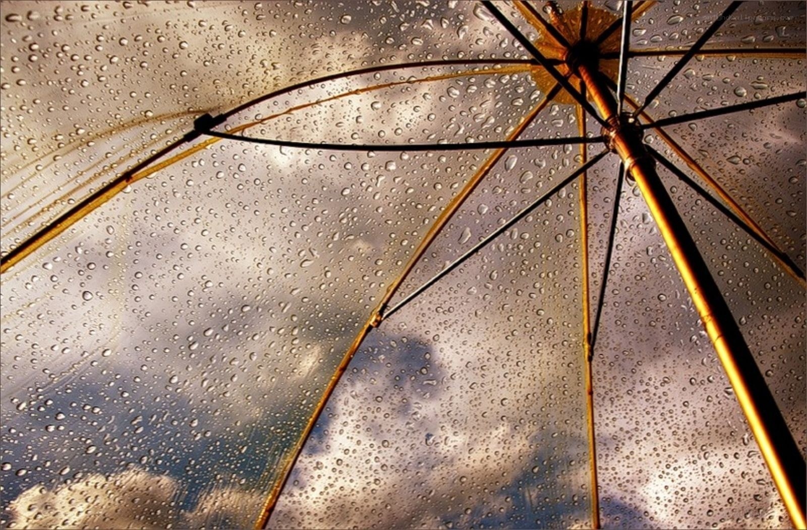 Raindrops on a transparent umbrella