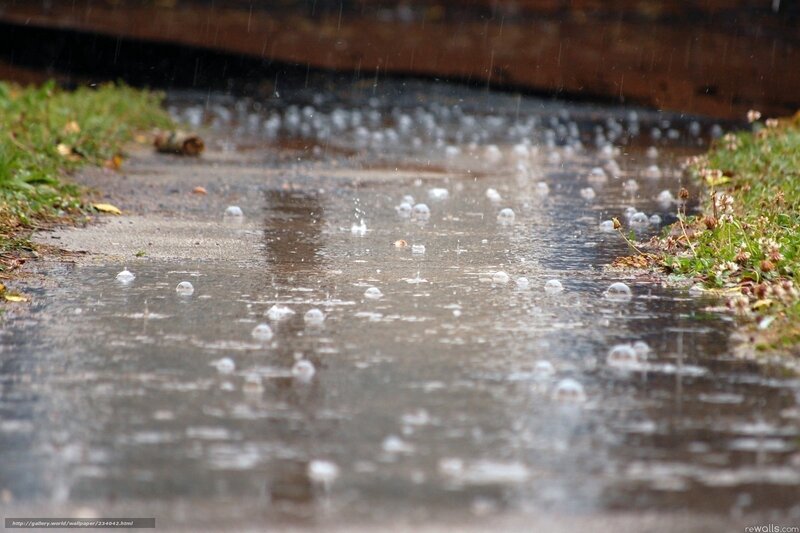 raindrops on a wet path