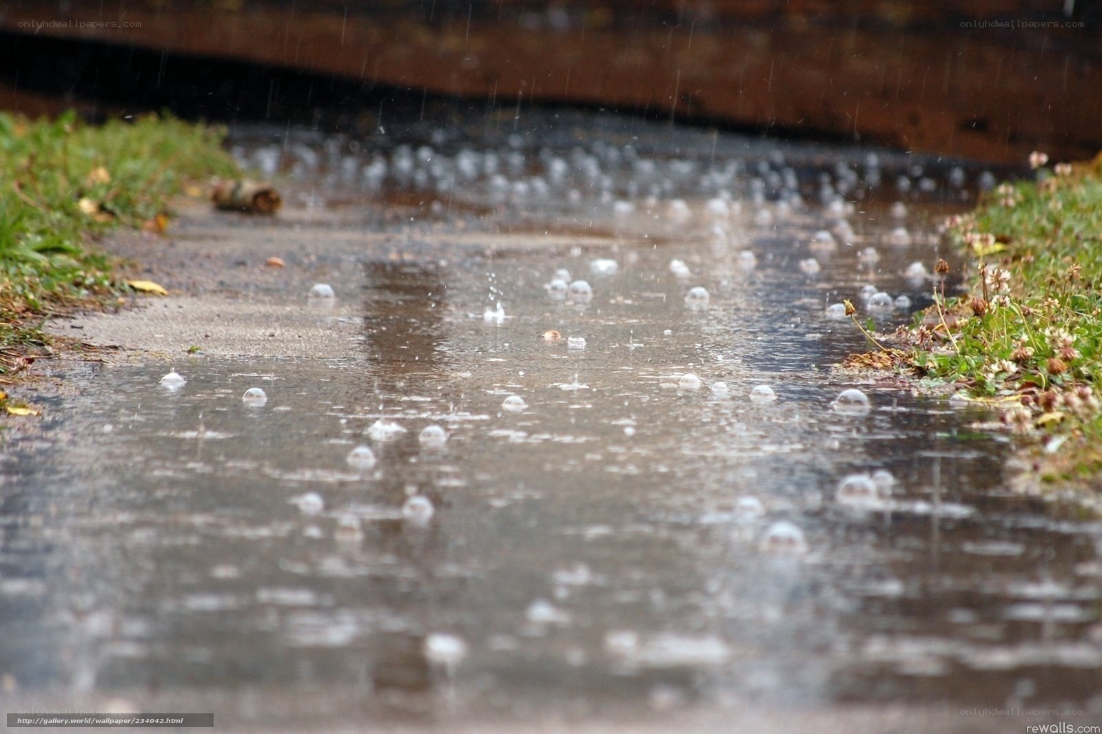 raindrops on a wet path