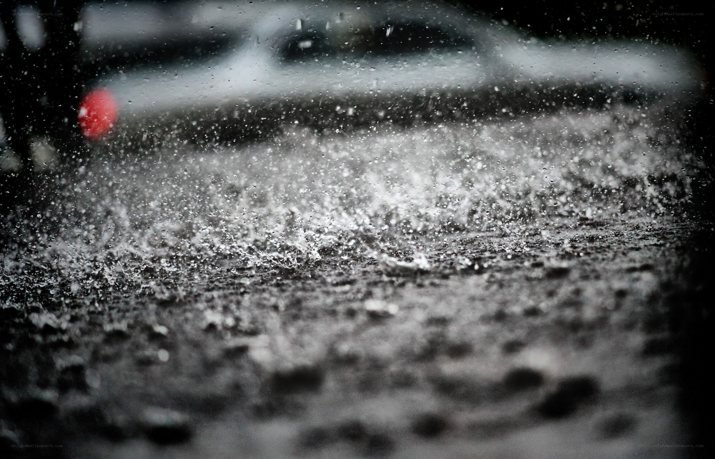 raindrops on a wet street