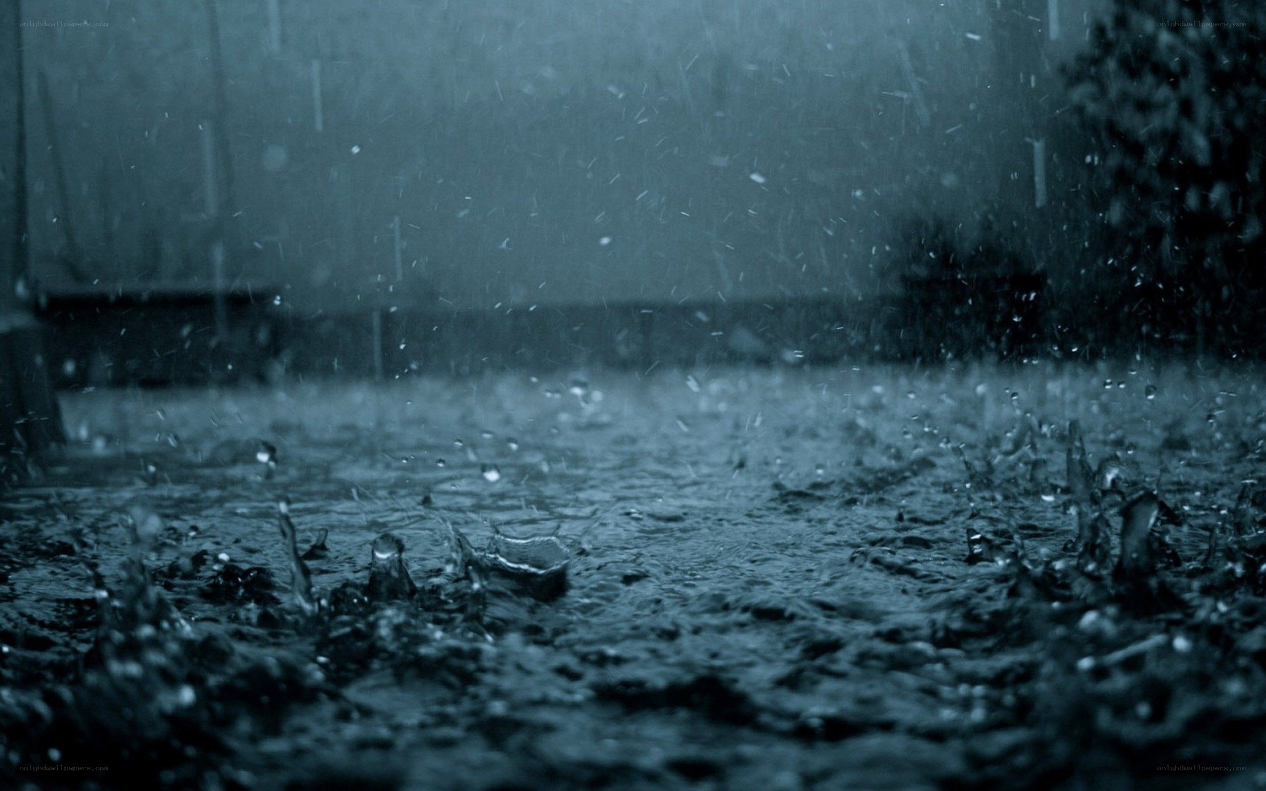 raindrops on a wet surface