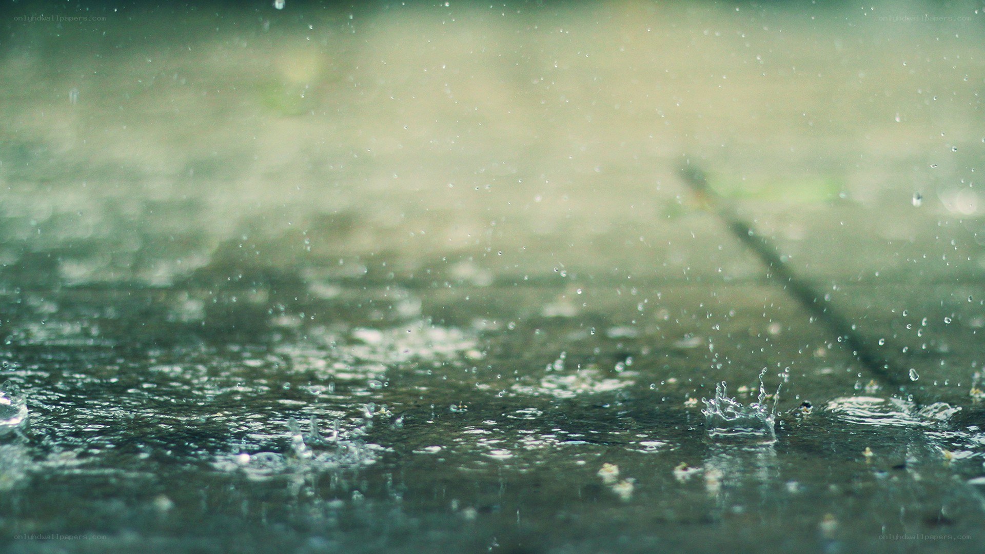 raindrops on a wet surface
