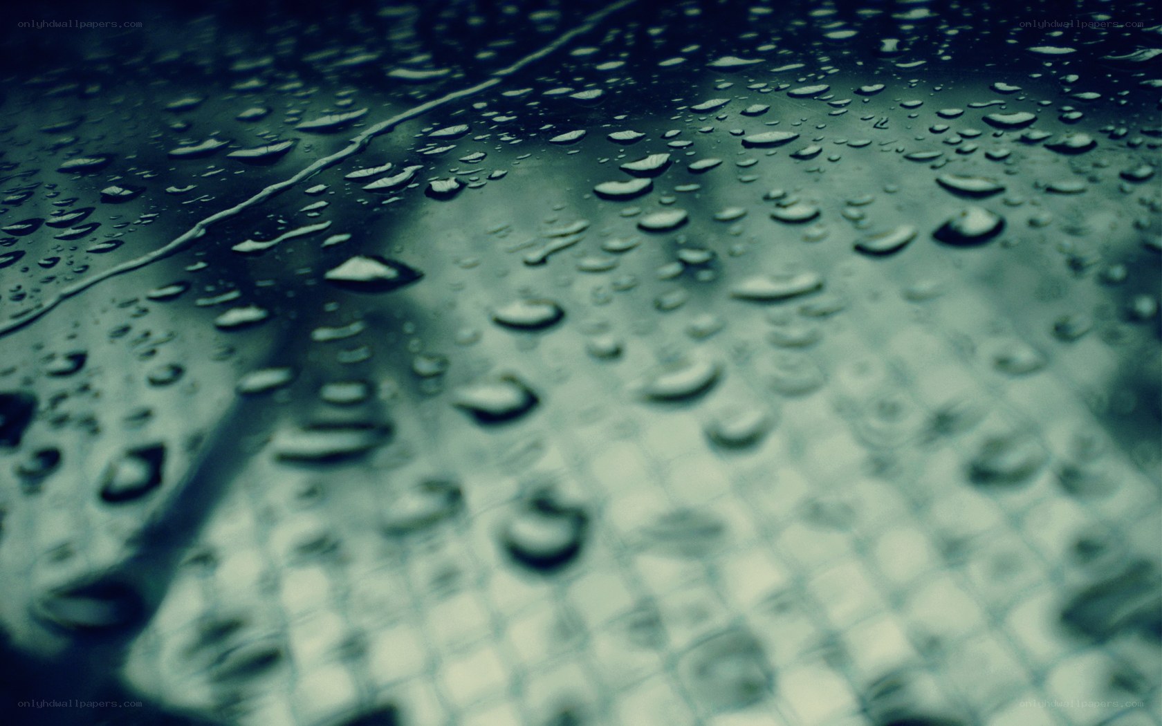 Raindrops on a wet surface
