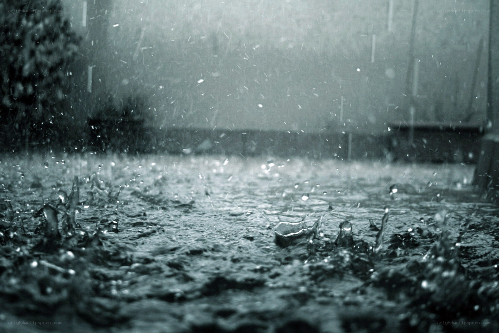 raindrops on a wet surface
