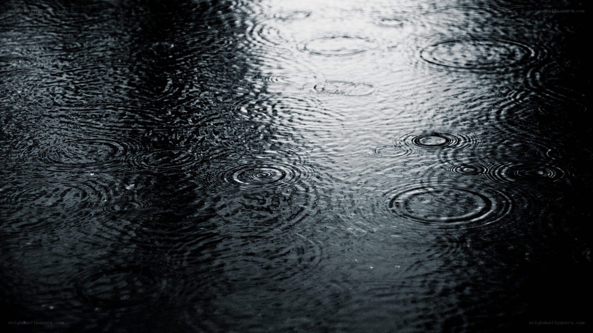 raindrops on a wet surface