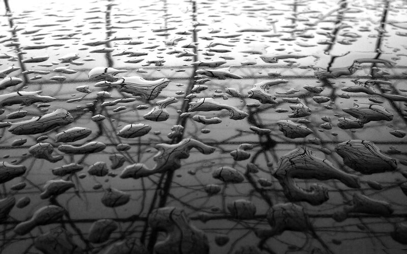 raindrops on a wet surface