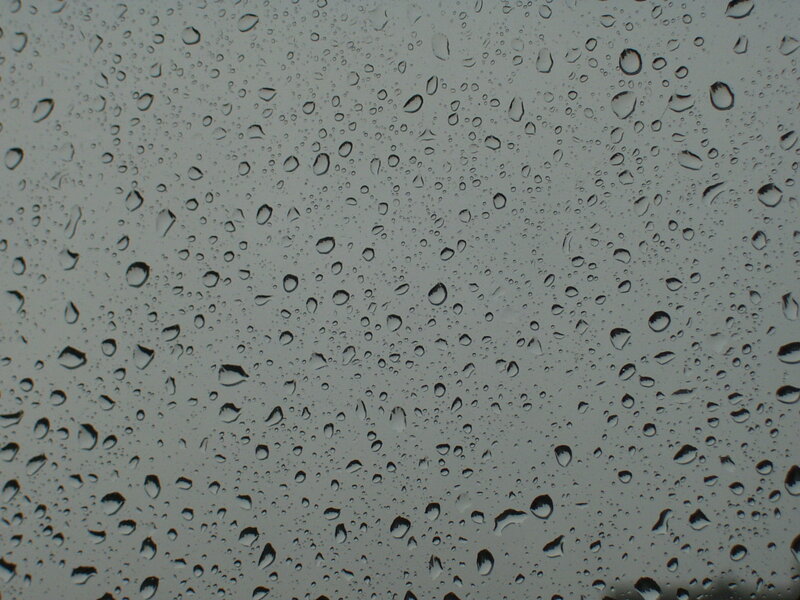raindrops on a window