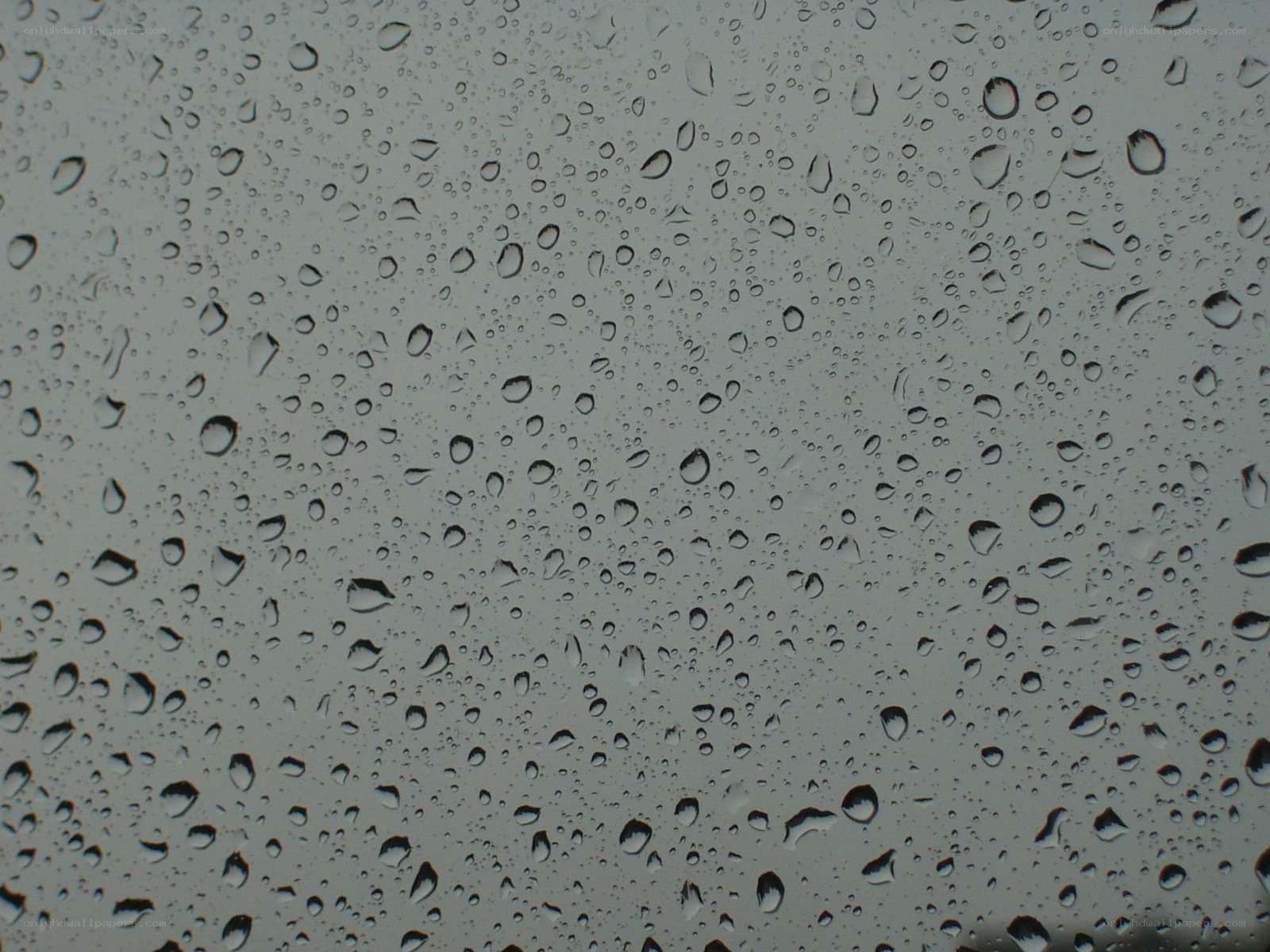 raindrops on a window