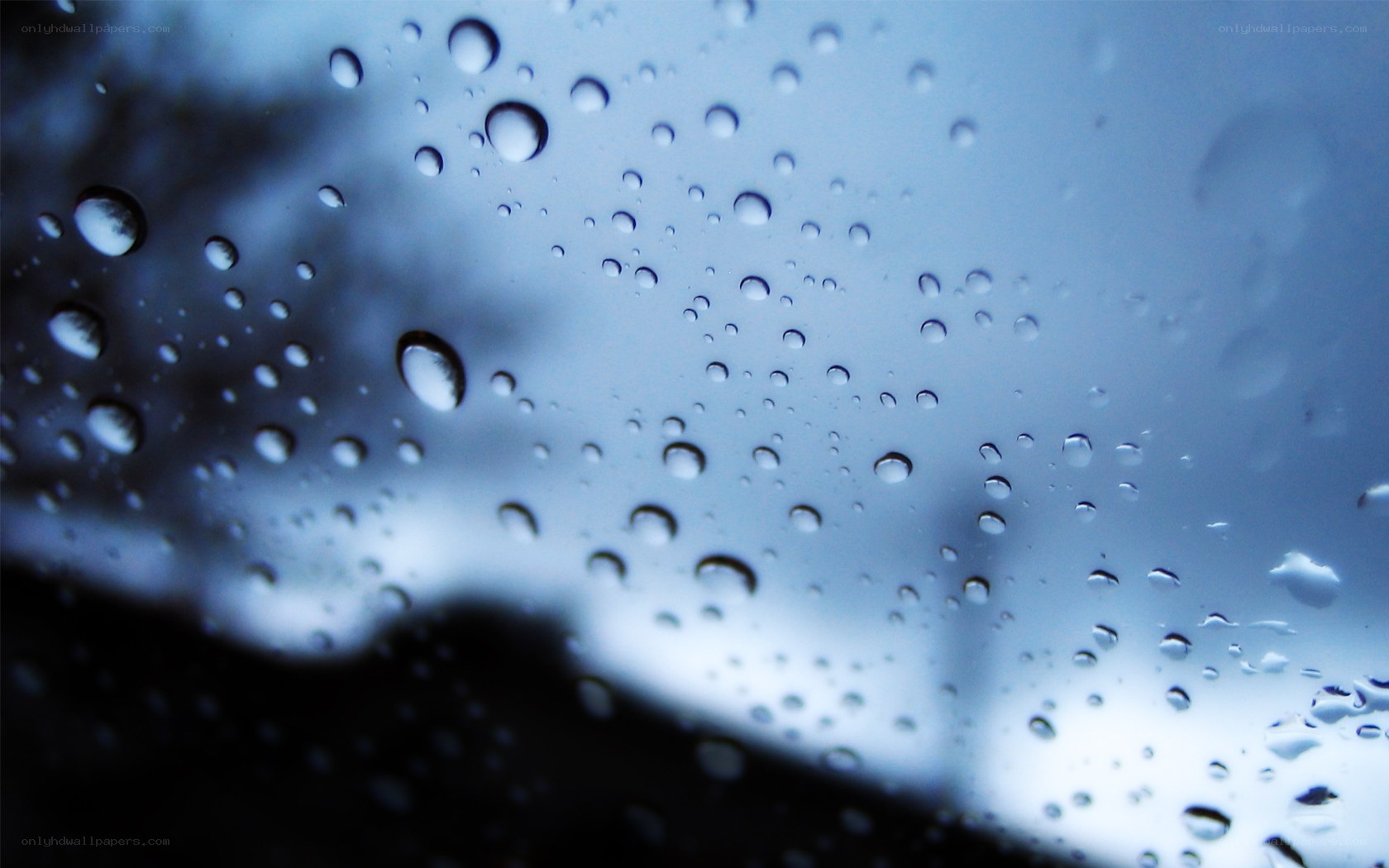 raindrops on a window