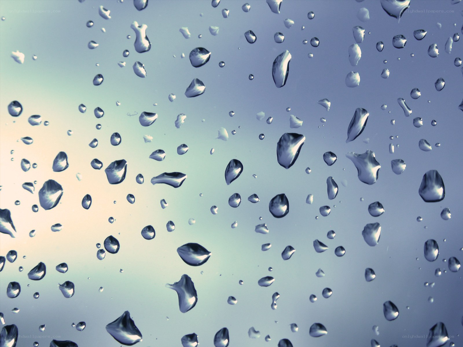 Raindrops on a window