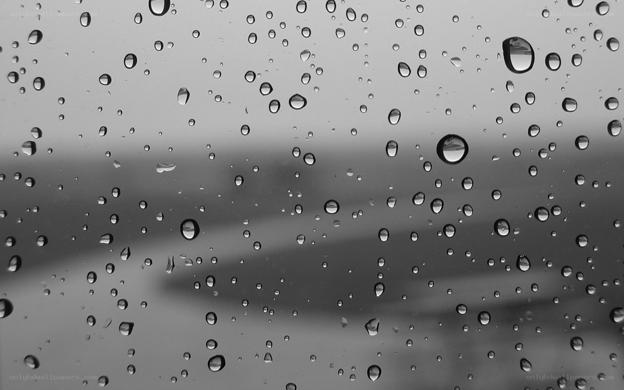 Raindrops on a window