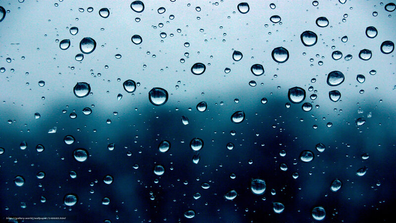 Raindrops on a window