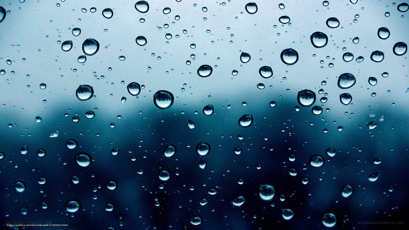 Raindrops on a window