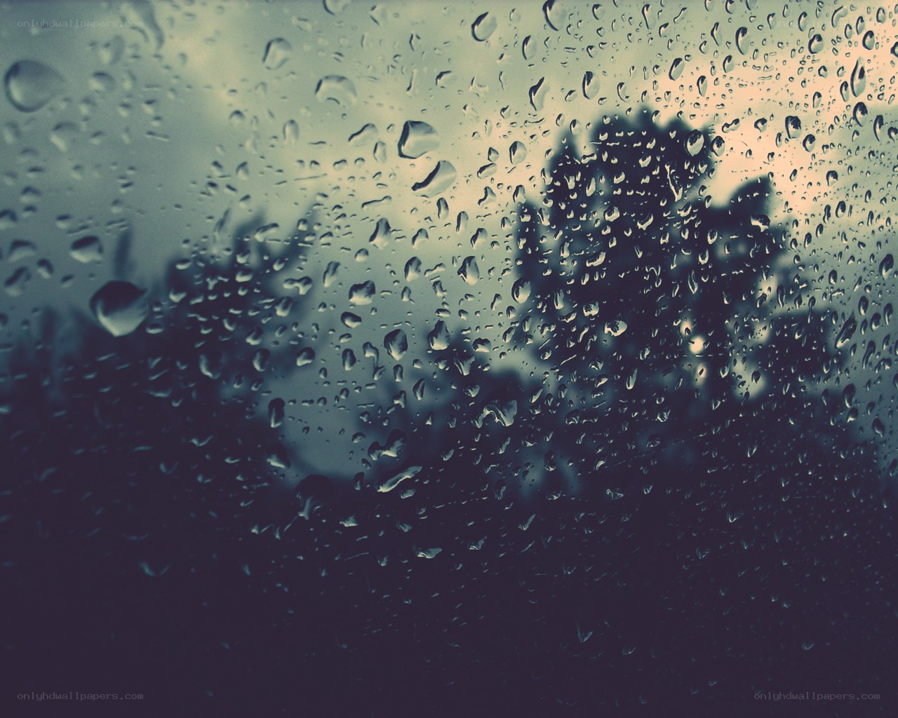 Raindrops on a window
