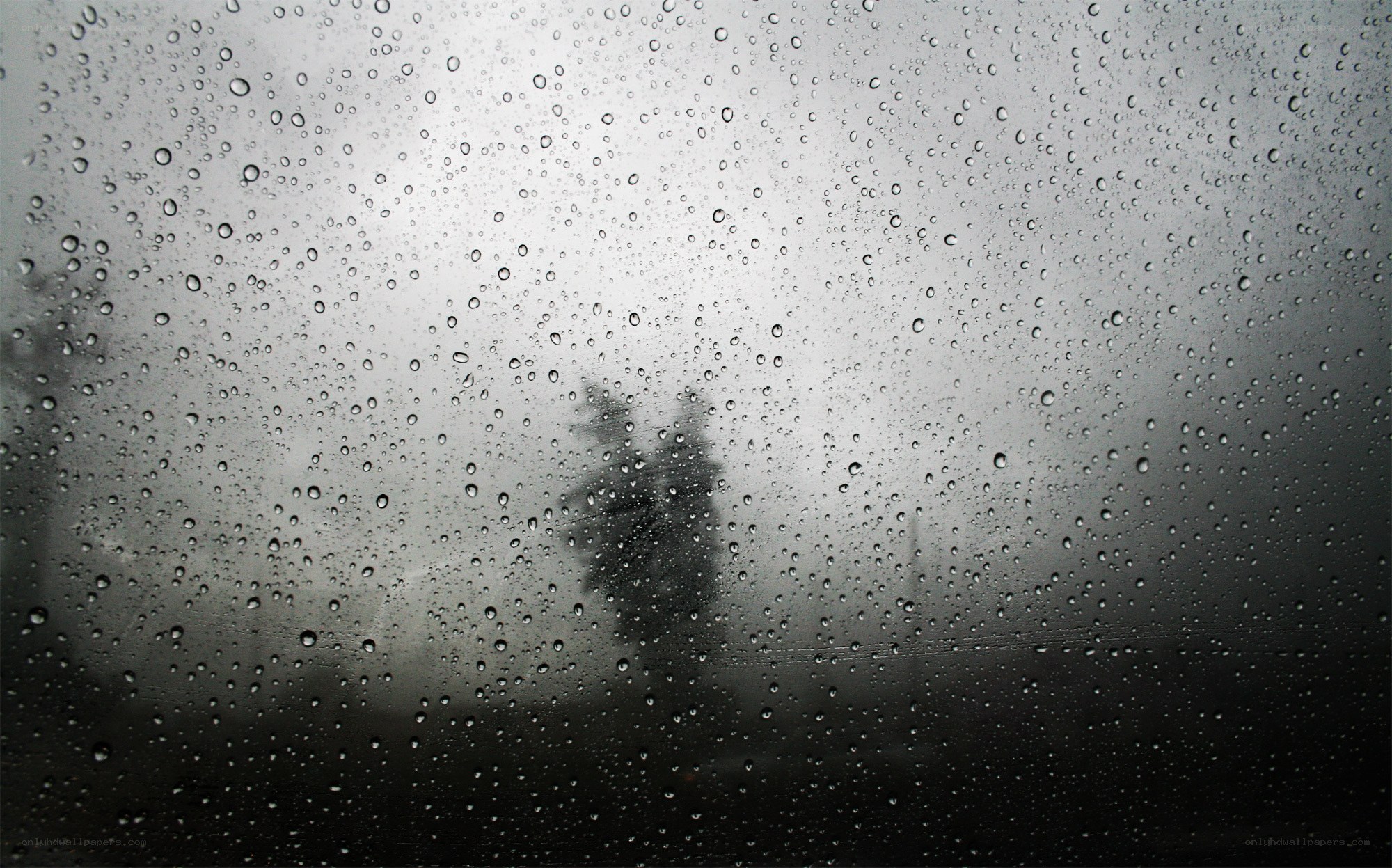 Raindrops on a window