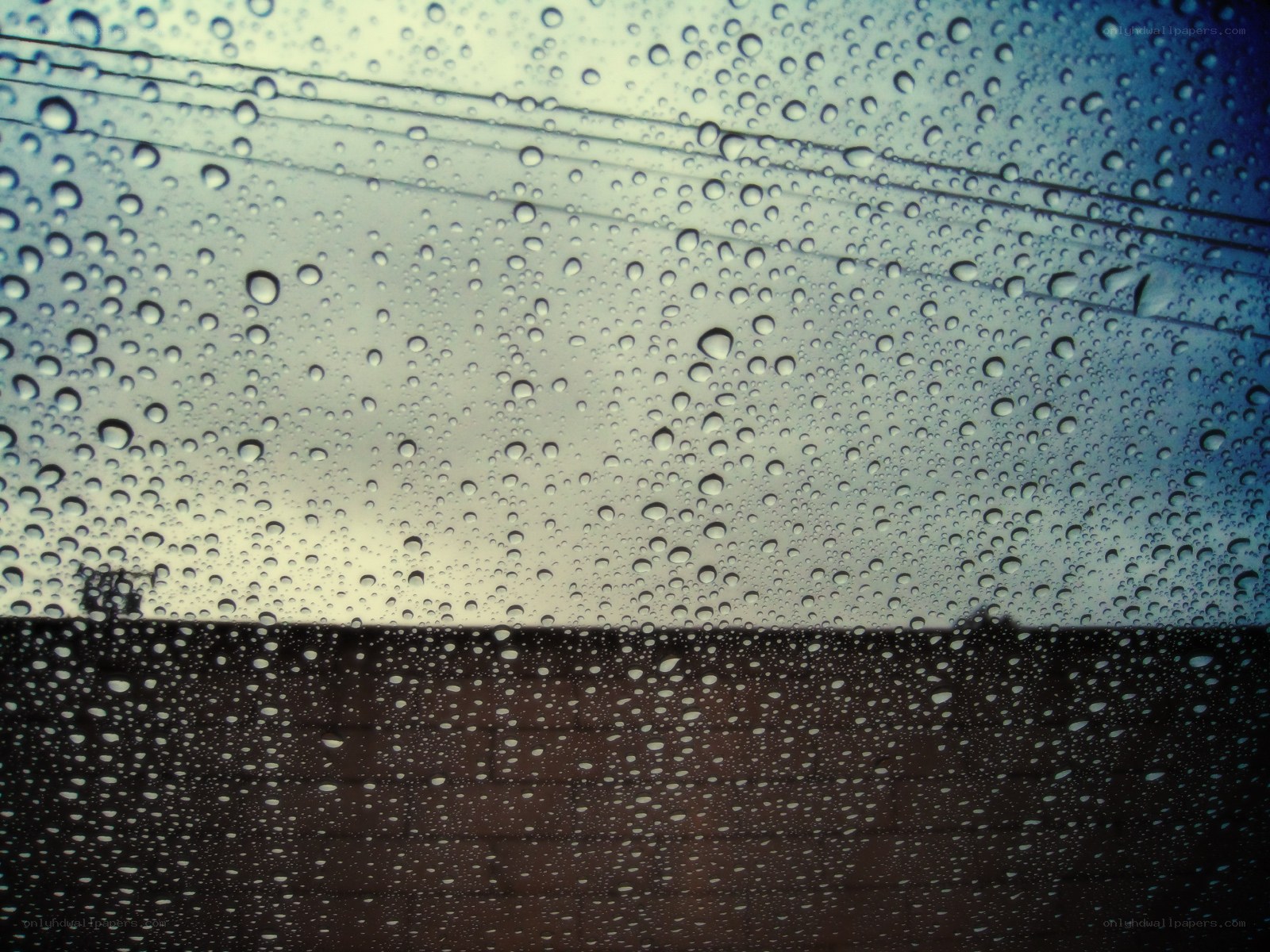 raindrops on a window