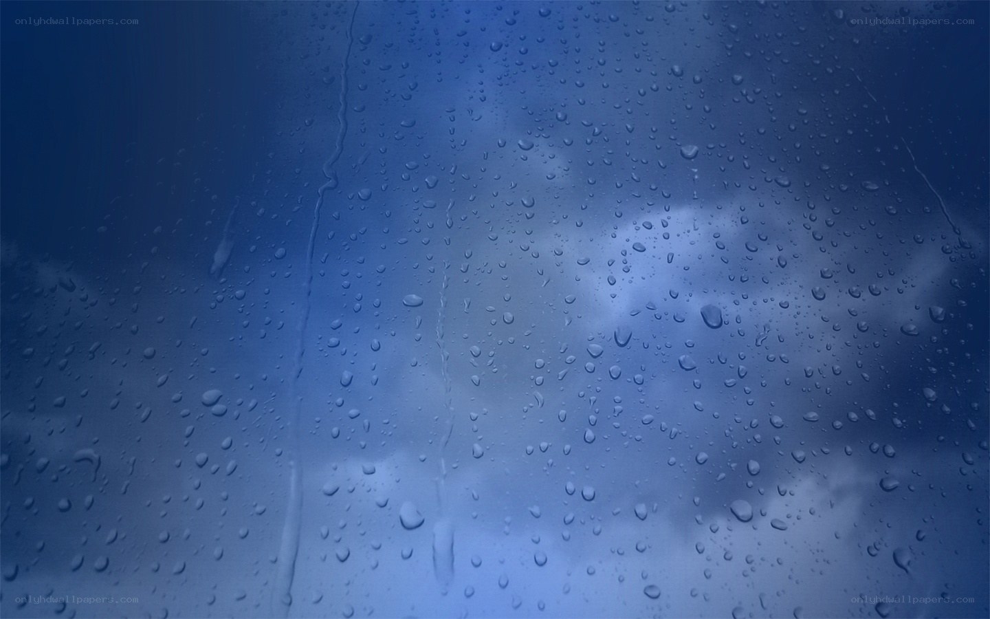 raindrops on a window