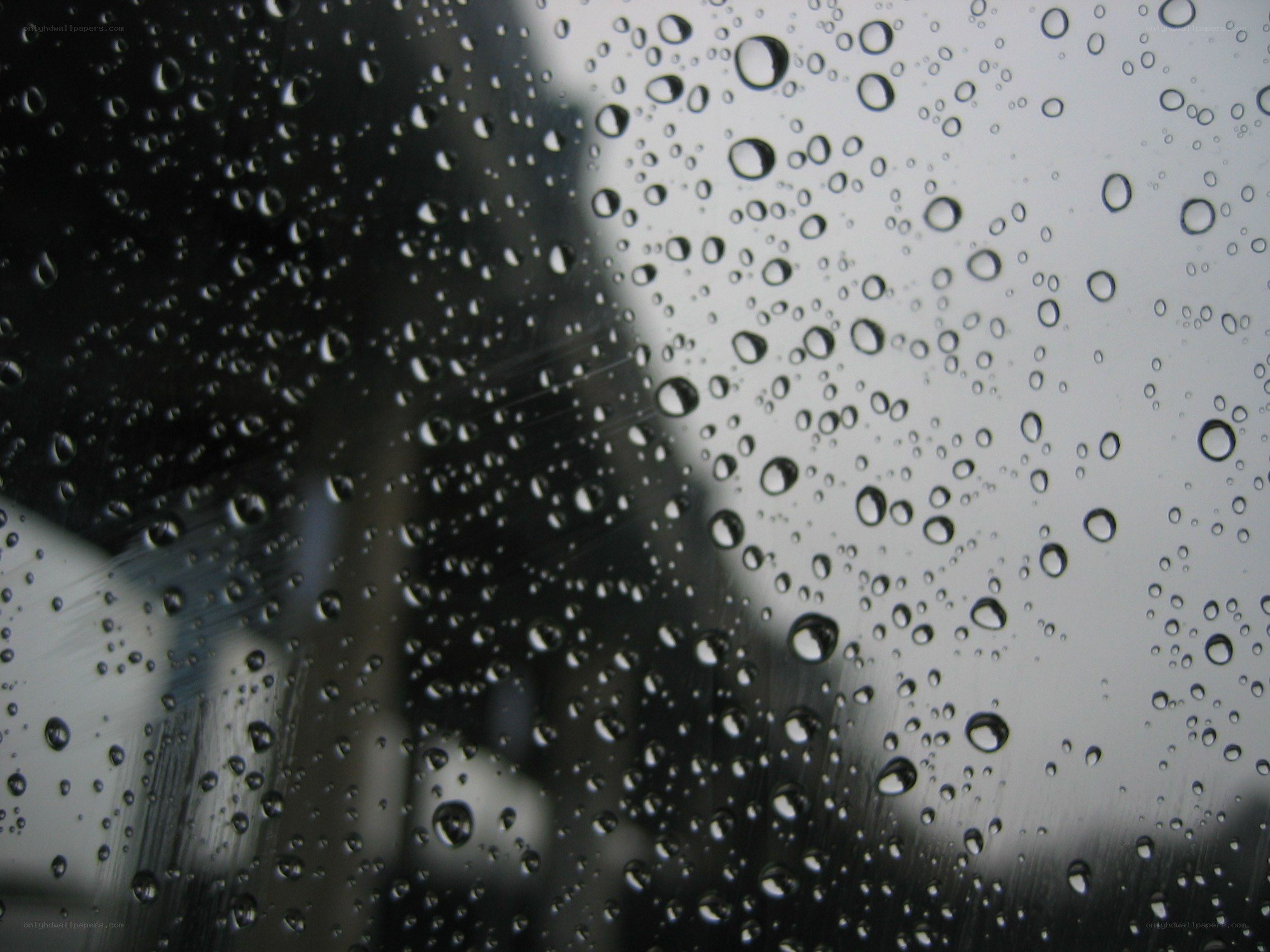 raindrops on a window