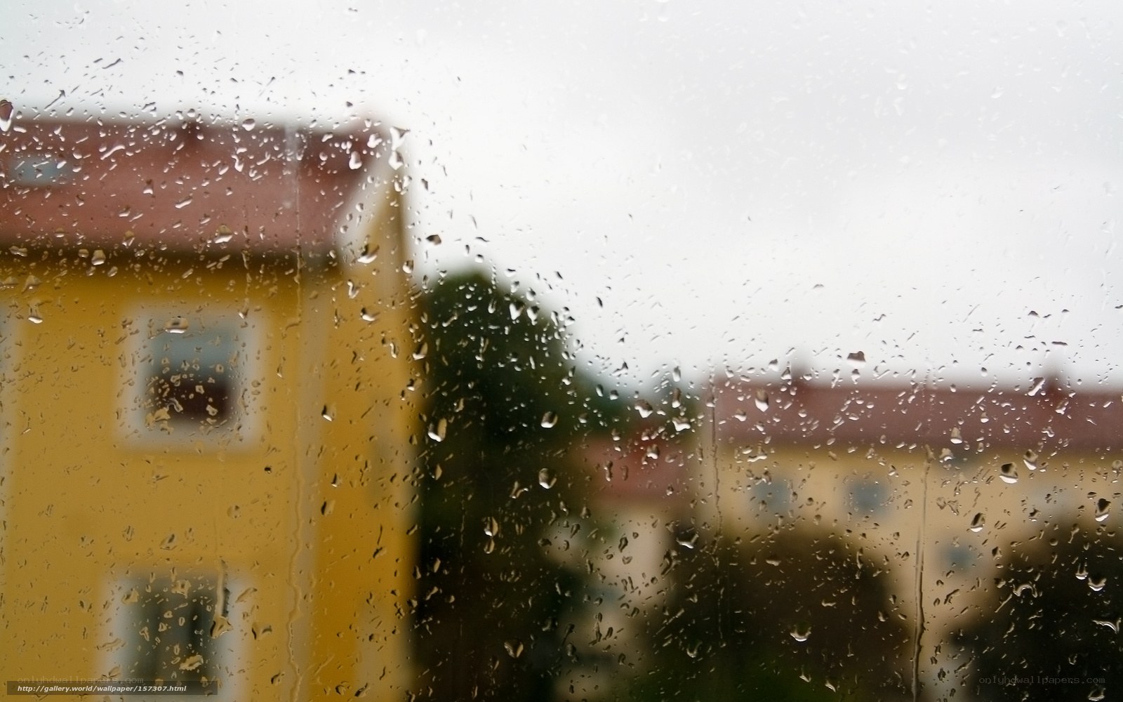 Raindrops on a window