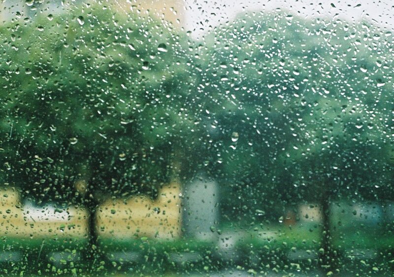 raindrops on a window